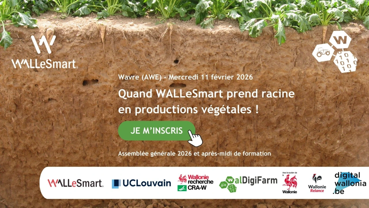 Formation WALLeSmart